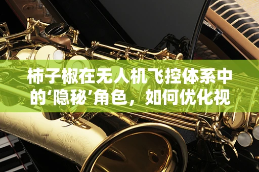 柿子椒在无人机飞控体系中的‘隐秘’角色，如何优化视觉避障？