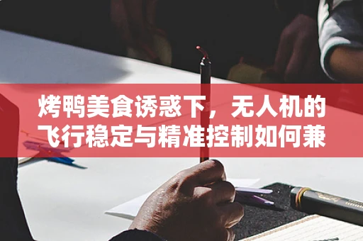 烤鸭美食诱惑下，无人机的飞行稳定与精准控制如何兼得？