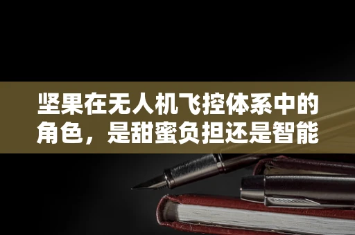坚果在无人机飞控体系中的角色，是甜蜜负担还是智能助力？