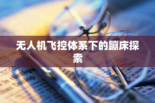 无人机飞控体系下的蹦床探索