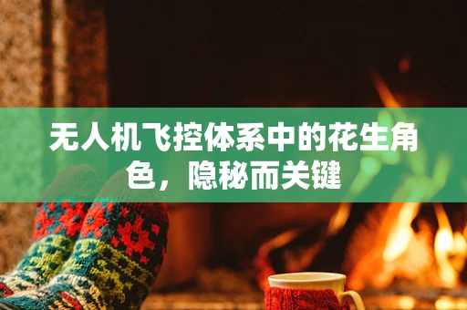 无人机飞控体系中的花生角色，隐秘而关键