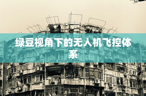 绿豆视角下的无人机飞控体系