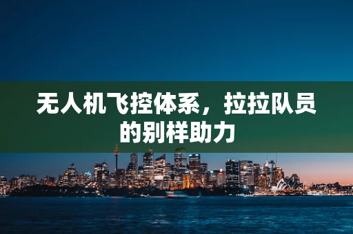 无人机飞控体系，拉拉队员的别样助力