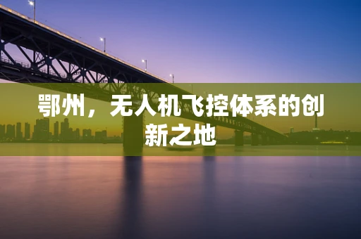 鄂州，无人机飞控体系的创新之地