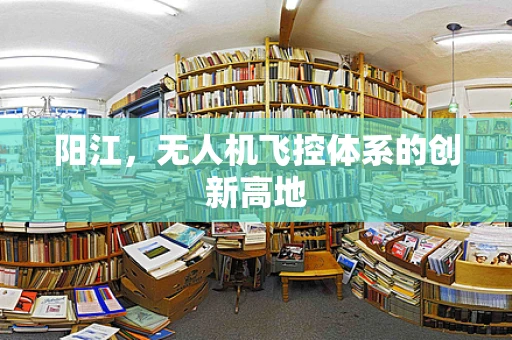 阳江，无人机飞控体系的创新高地
