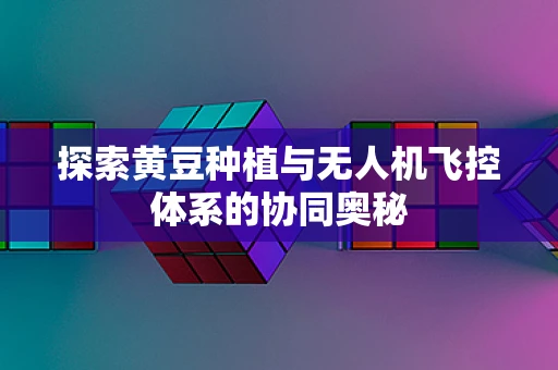 探索黄豆种植与无人机飞控体系的协同奥秘