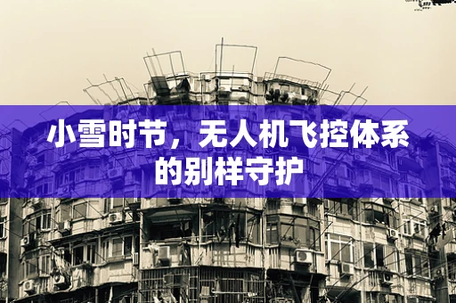 小雪时节，无人机飞控体系的别样守护