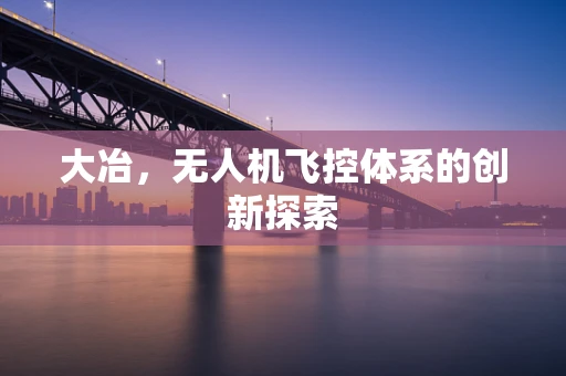 大冶，无人机飞控体系的创新探索