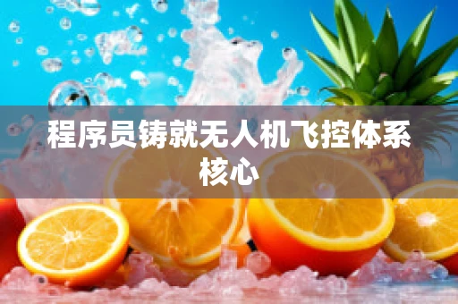 程序员铸就无人机飞控体系核心