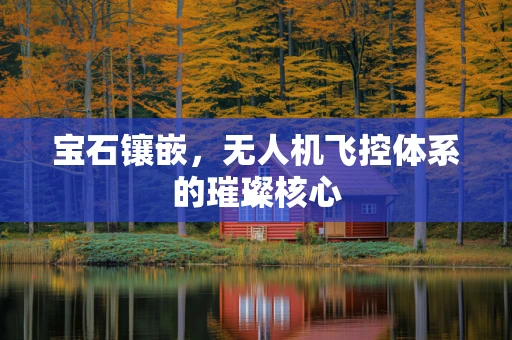 宝石镶嵌，无人机飞控体系的璀璨核心