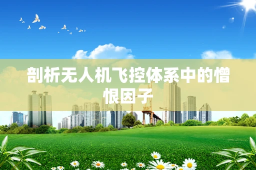 剖析无人机飞控体系中的憎恨因子