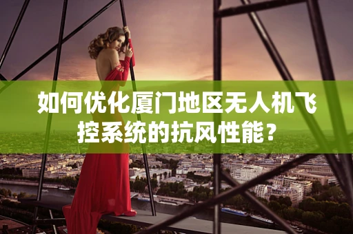 如何优化厦门地区无人机飞控系统的抗风性能？