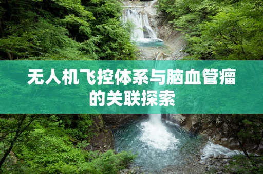 无人机飞控体系与脑血管瘤的关联探索