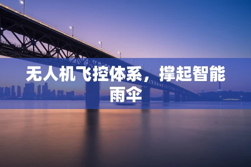 无人机飞控体系，撑起智能雨伞