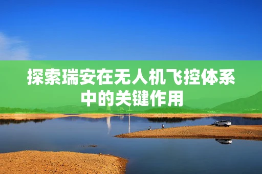 探索瑞安在无人机飞控体系中的关键作用