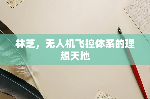 林芝，无人机飞控体系的理想天地