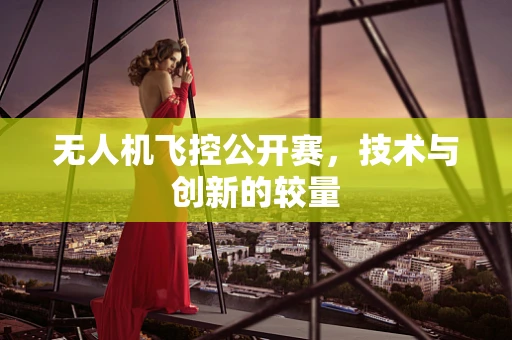 无人机飞控公开赛，技术与创新的较量