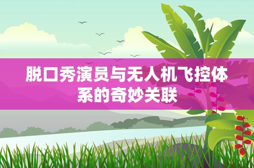 脱口秀演员与无人机飞控体系的奇妙关联