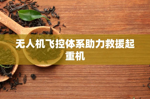 无人机飞控体系助力救援起重机