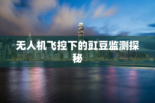 无人机飞控下的豇豆监测探秘