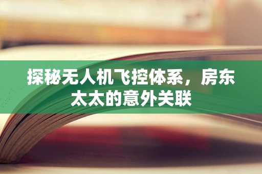 探秘无人机飞控体系，房东太太的意外关联