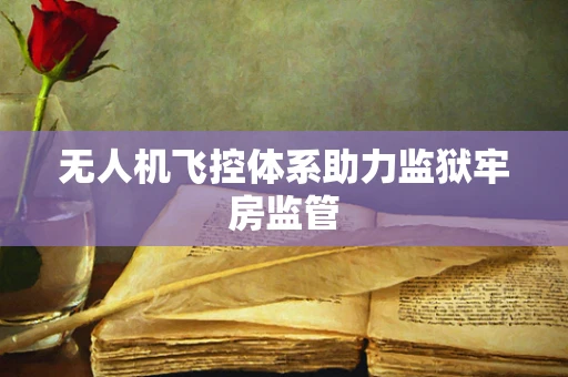 无人机飞控体系助力监狱牢房监管