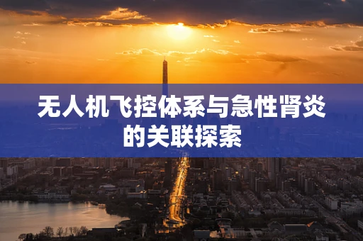 无人机飞控体系与急性肾炎的关联探索