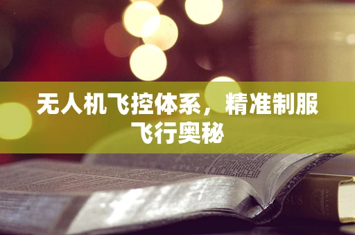 无人机飞控体系，精准制服飞行奥秘