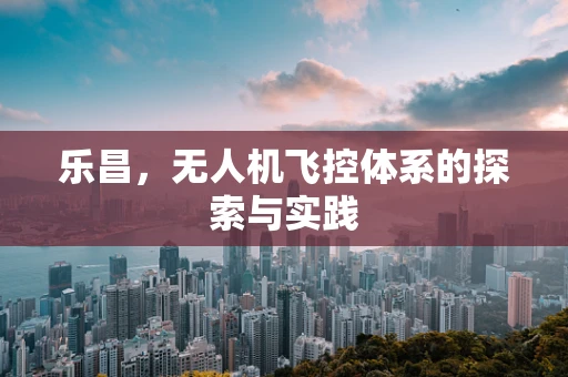 乐昌，无人机飞控体系的探索与实践
