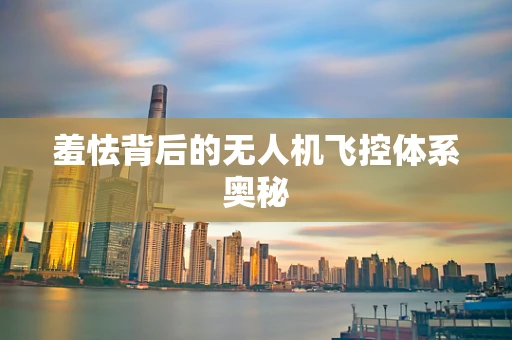 羞怯背后的无人机飞控体系奥秘