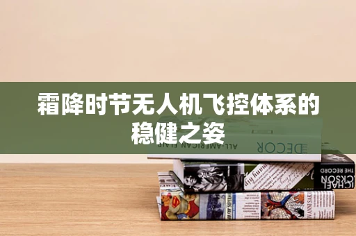 霜降时节无人机飞控体系的稳健之姿