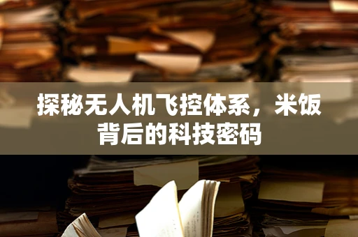 探秘无人机飞控体系，米饭背后的科技密码
