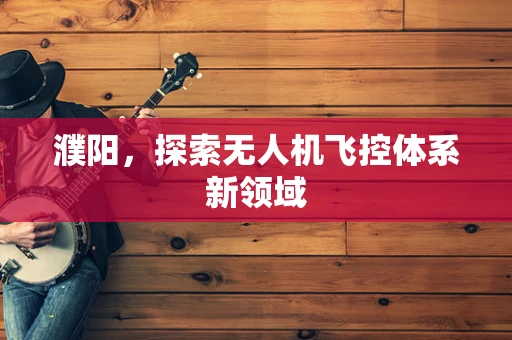 濮阳，探索无人机飞控体系新领域