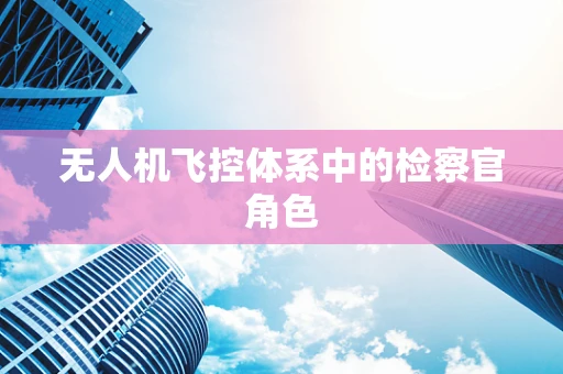 无人机飞控体系中的检察官角色