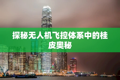 探秘无人机飞控体系中的桂皮奥秘