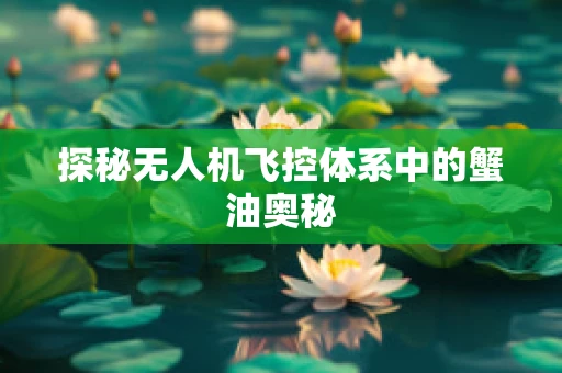 探秘无人机飞控体系中的蟹油奥秘