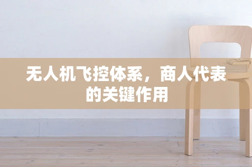 无人机飞控体系，商人代表的关键作用