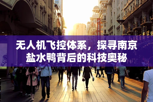 无人机飞控体系，探寻南京盐水鸭背后的科技奥秘
