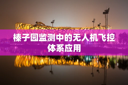 榛子园监测中的无人机飞控体系应用