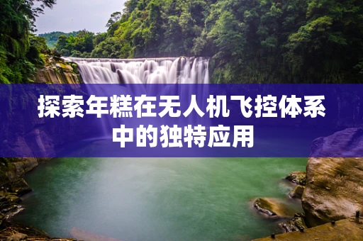 探索年糕在无人机飞控体系中的独特应用