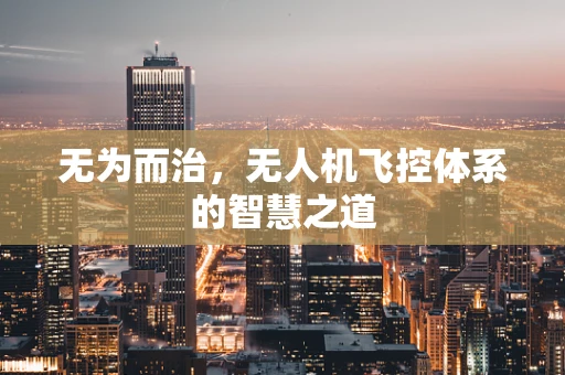 无为而治，无人机飞控体系的智慧之道