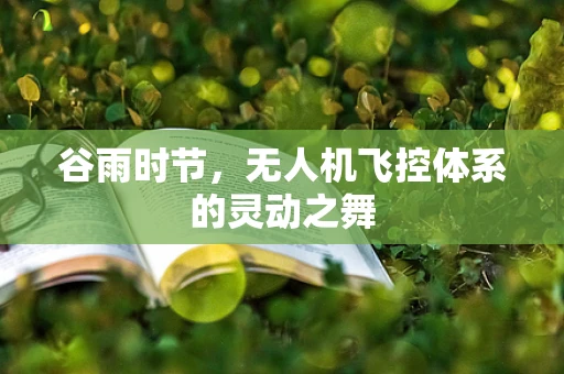 谷雨时节，无人机飞控体系的灵动之舞