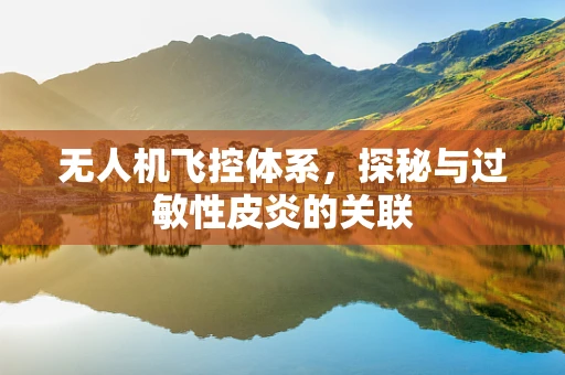 无人机飞控体系，探秘与过敏性皮炎的关联