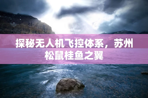 探秘无人机飞控体系，苏州松鼠桂鱼之翼