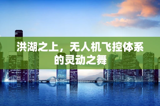 洪湖之上，无人机飞控体系的灵动之舞