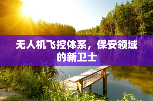 无人机飞控体系，保安领域的新卫士