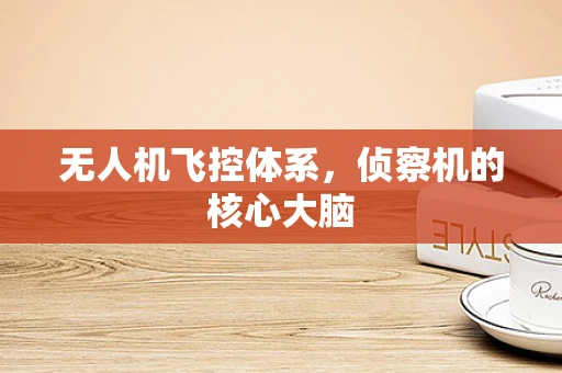 无人机飞控体系，侦察机的核心大脑