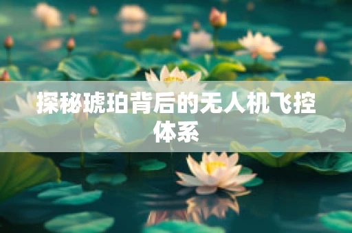 探秘琥珀背后的无人机飞控体系