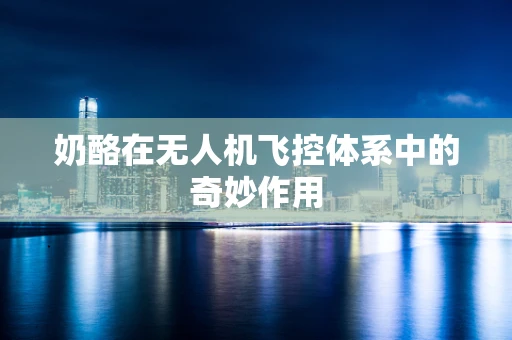 奶酪在无人机飞控体系中的奇妙作用
