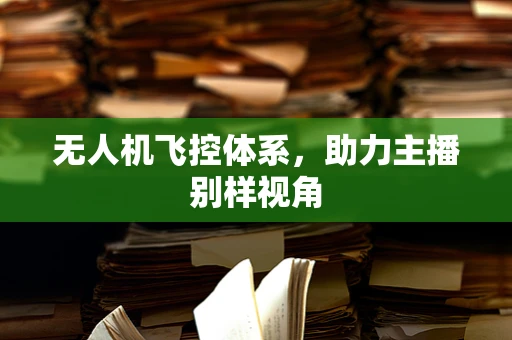 无人机飞控体系，助力主播别样视角